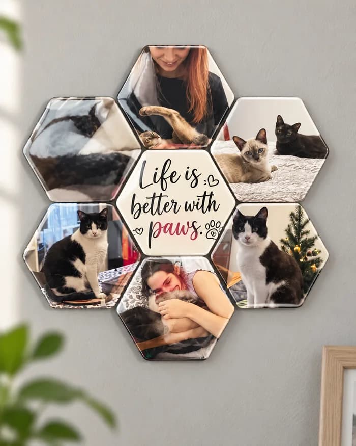 A photo magnet collection with cats and a Life is better with paws phrase magnet